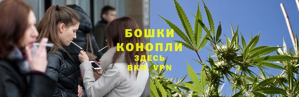 твердый Горнозаводск