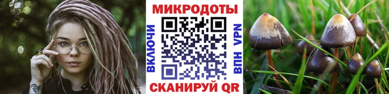Псилоцибиновые грибы Magic Shrooms Усолье